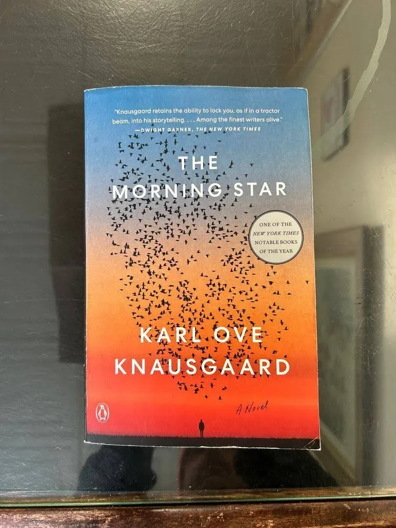 The Morning Star: A Novel [Book]