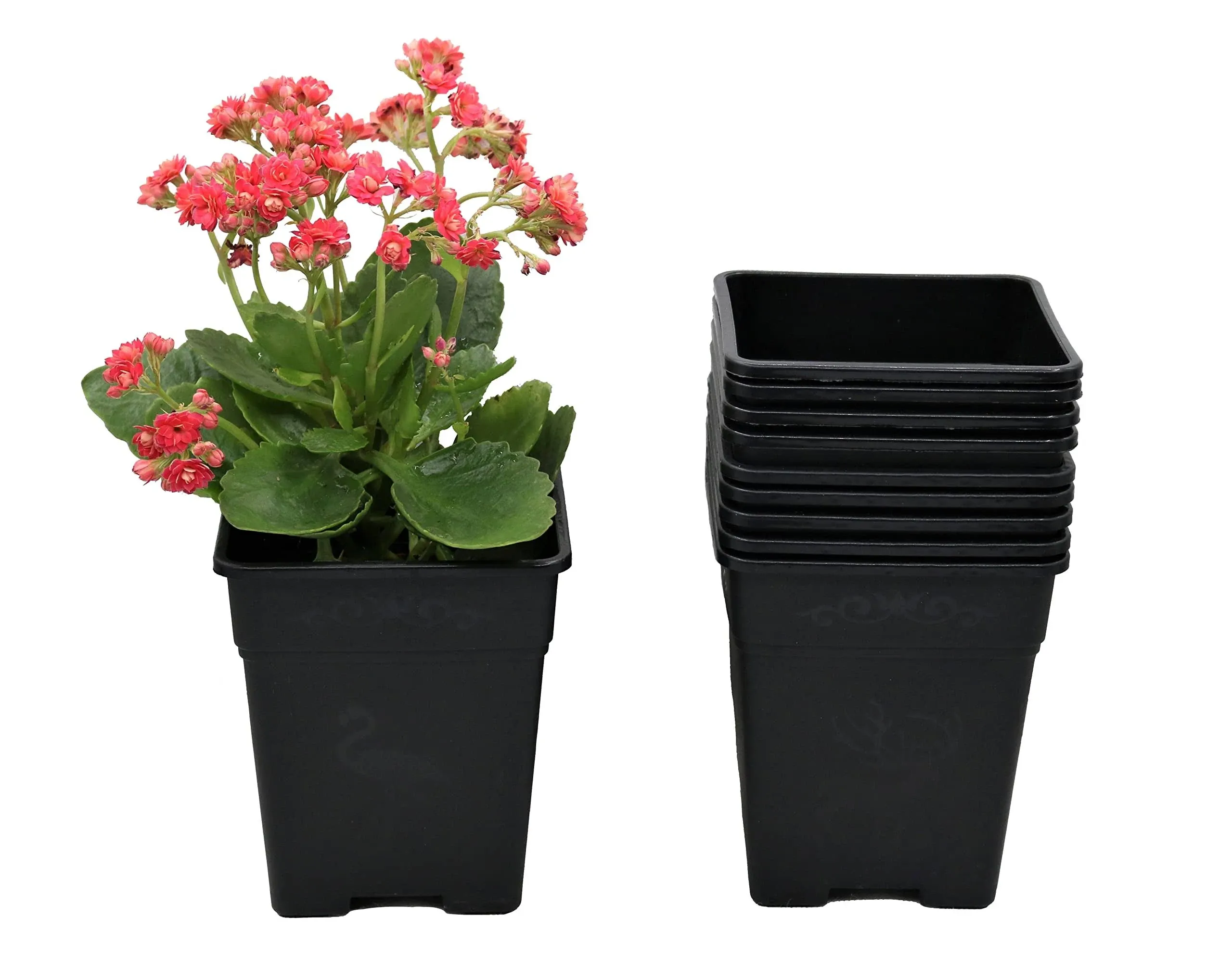 Square Nursery Pot 0.5 Gallon Plastic Planters for Outdoor Indoor Plants 10-Pack with Drainage Holes 5 inch Nursery pots