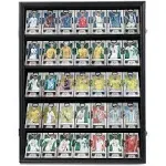 Temgee 35 Graded Sports Card Display Case