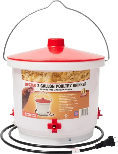 Farm Innovators Heated 2-Gallon Poultry Water Drinker