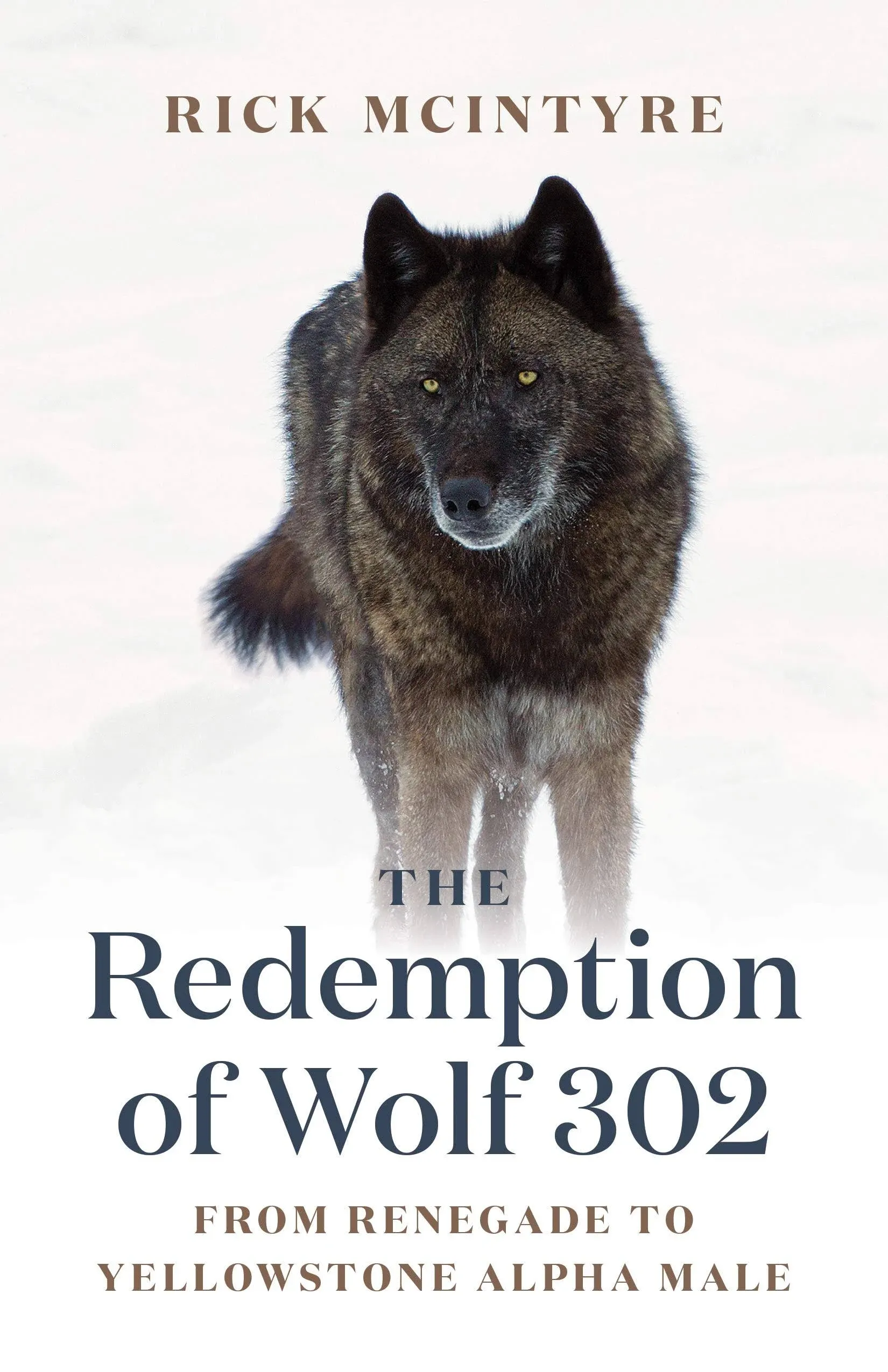 The Redemption of Wolf 302: From Renegade to Yellowstone Alpha Male [Book]