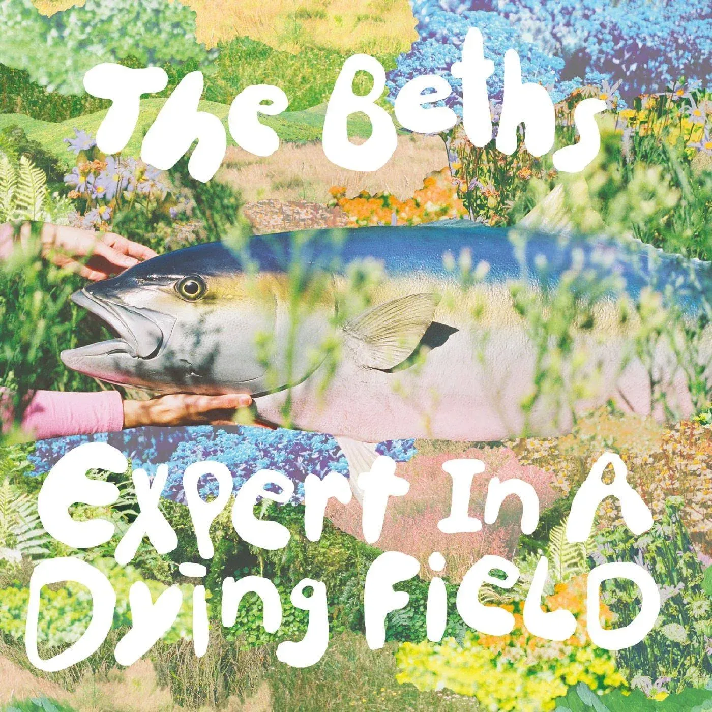 Beths - Expert in A Dying Field (Vinyl)