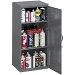 Durham 2 Shelf Wall Storage Cabinet