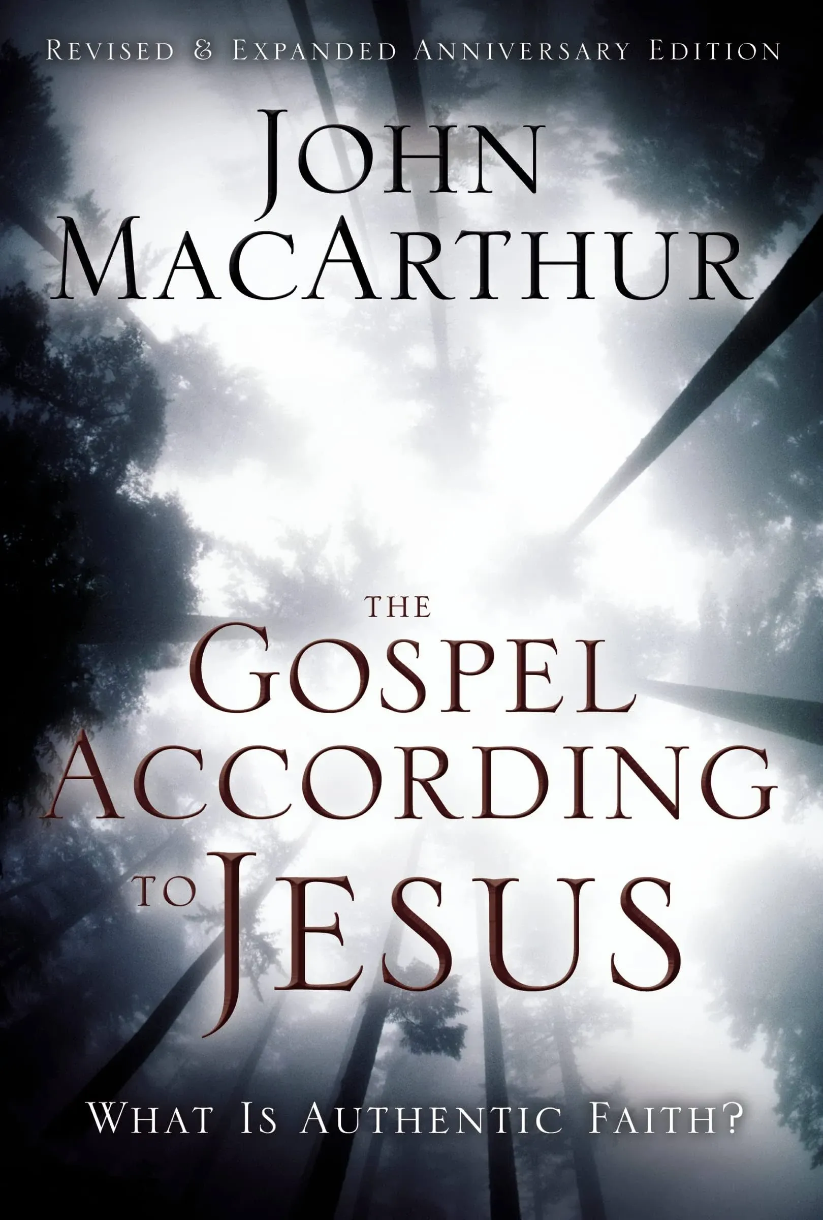 The Gospel According to Jesus: What is Authentic Faith? [Book]