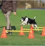 Dog Agility Hurdle Cone Set, Portable Canine Agility Training Set, 6 Exercise...