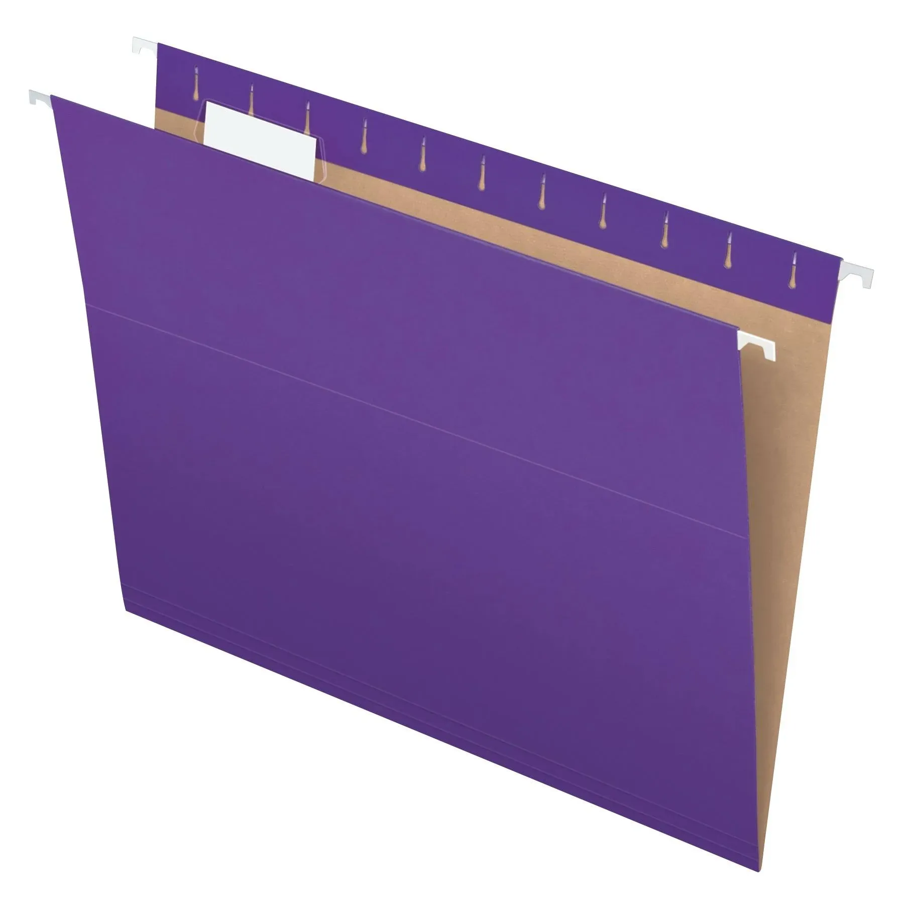 Pendaflex Recycled Hanging Folders, Letter Size, Violet, 1/5 Cut, 25/BX (81611)