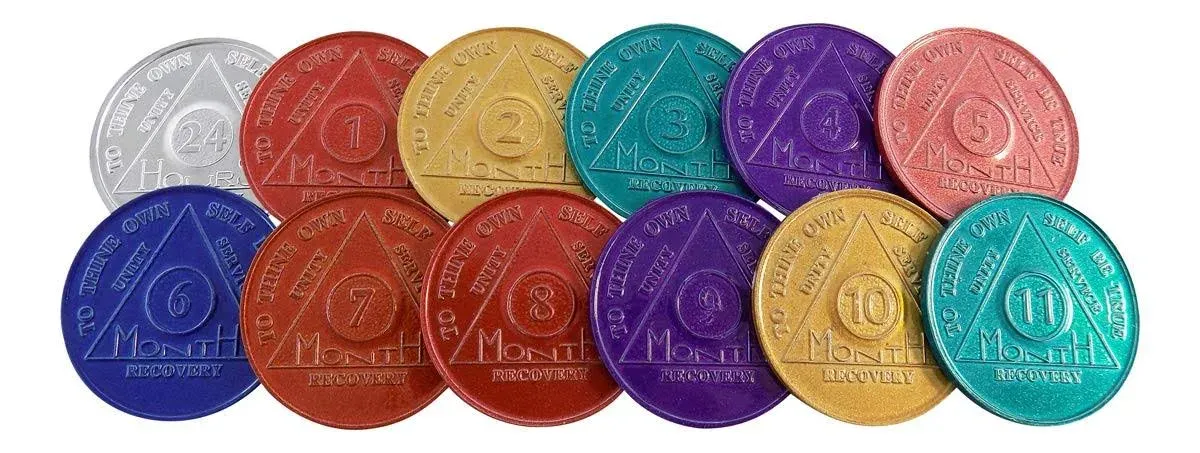 Brand: Wendells Set of 12 Aluminum AA Medallions Chips 24 Hours Months 1-11 ...