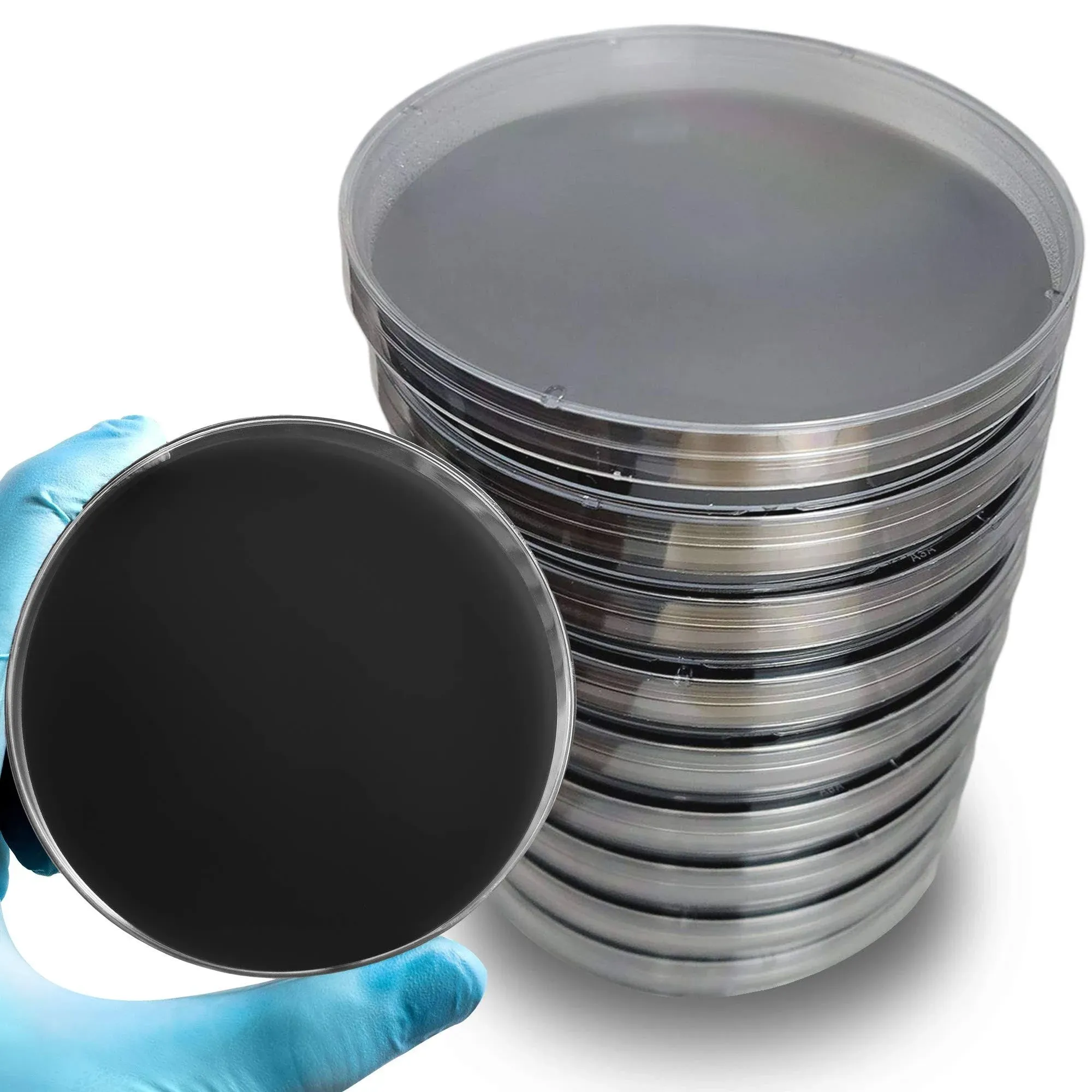 Pre-Poured Black Malt Extract Agar Plates – Includes Both Black Dye & Charcoal for Enhanced Culture Visualization - Excellent Growth Medium - Great for Mushrooms & Science Projects