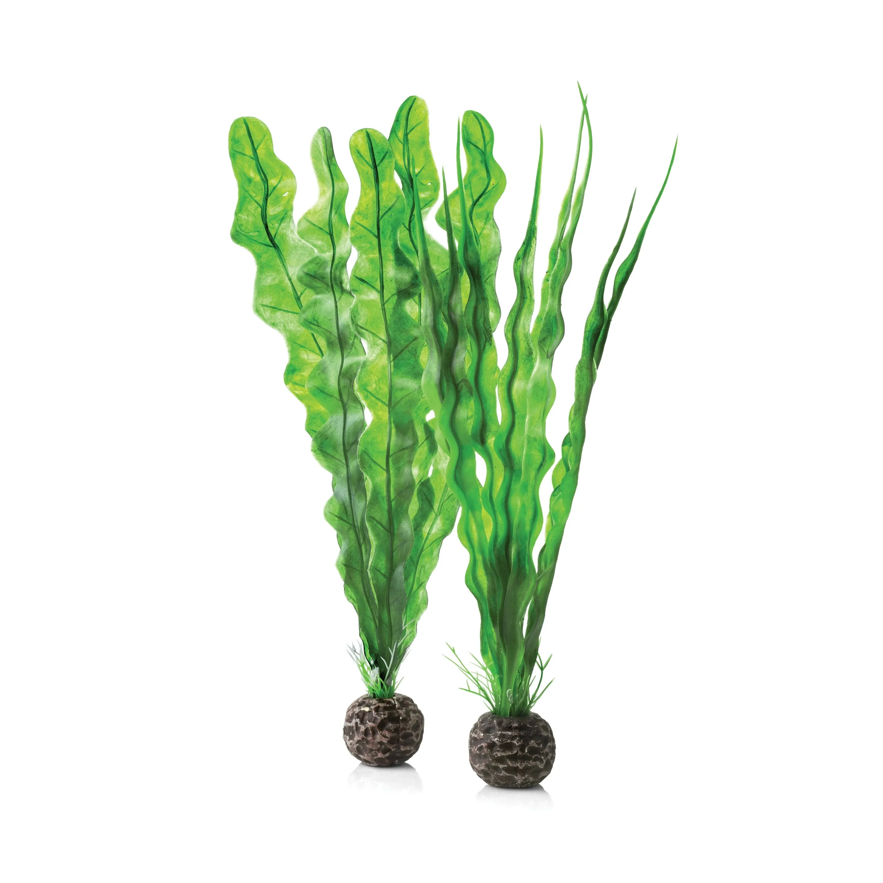 biOrb Easy Plant Set