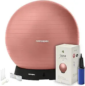 Luna Exercise Ball & Base Rose / 65cm