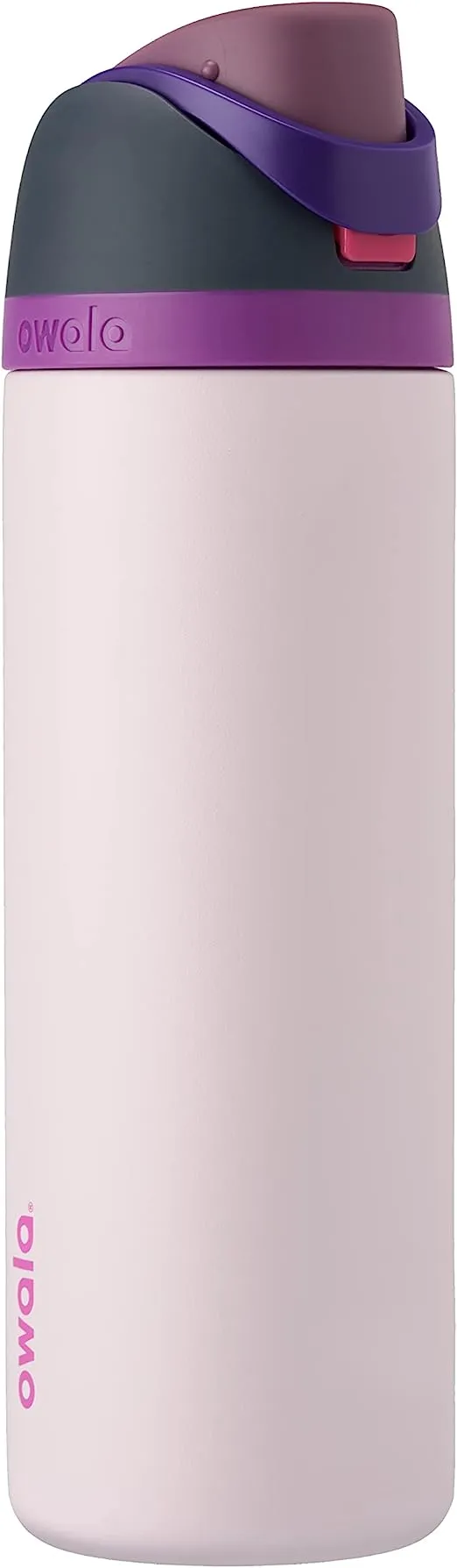 Owala FreeSip Insulated Stainless Steel Water Bottle with Straw for Sports, Travel, and School BPA-Free Sports Water Bottle, 32 oz, Dreamy Field
