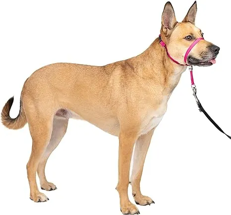 PetSafe Gentle Leader No-Pull Dog Headcollar - The Ultimate Solution to Pulling - Redirects Your Dog's Pulling For Easier Walks - Helps You Regain Control - Medium , Raspberry Pink