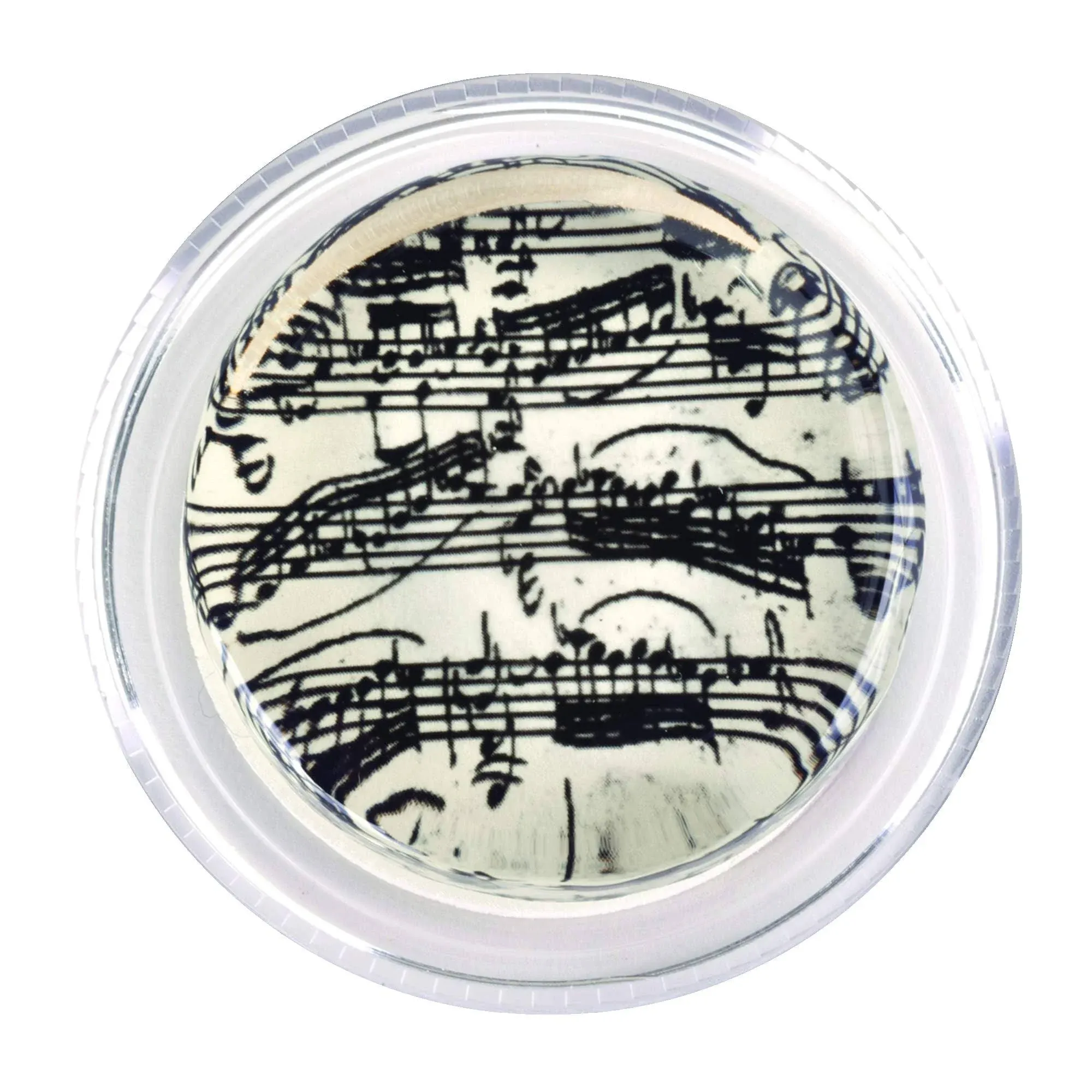 Shar MR JSB Magic 3G Bach Manuscript Rosin