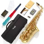 Eb Alto Saxophone - Case, Tuner, Mouthpiece, 10 Reeds, Pocketbook- Gold E Flat Musical Instruments