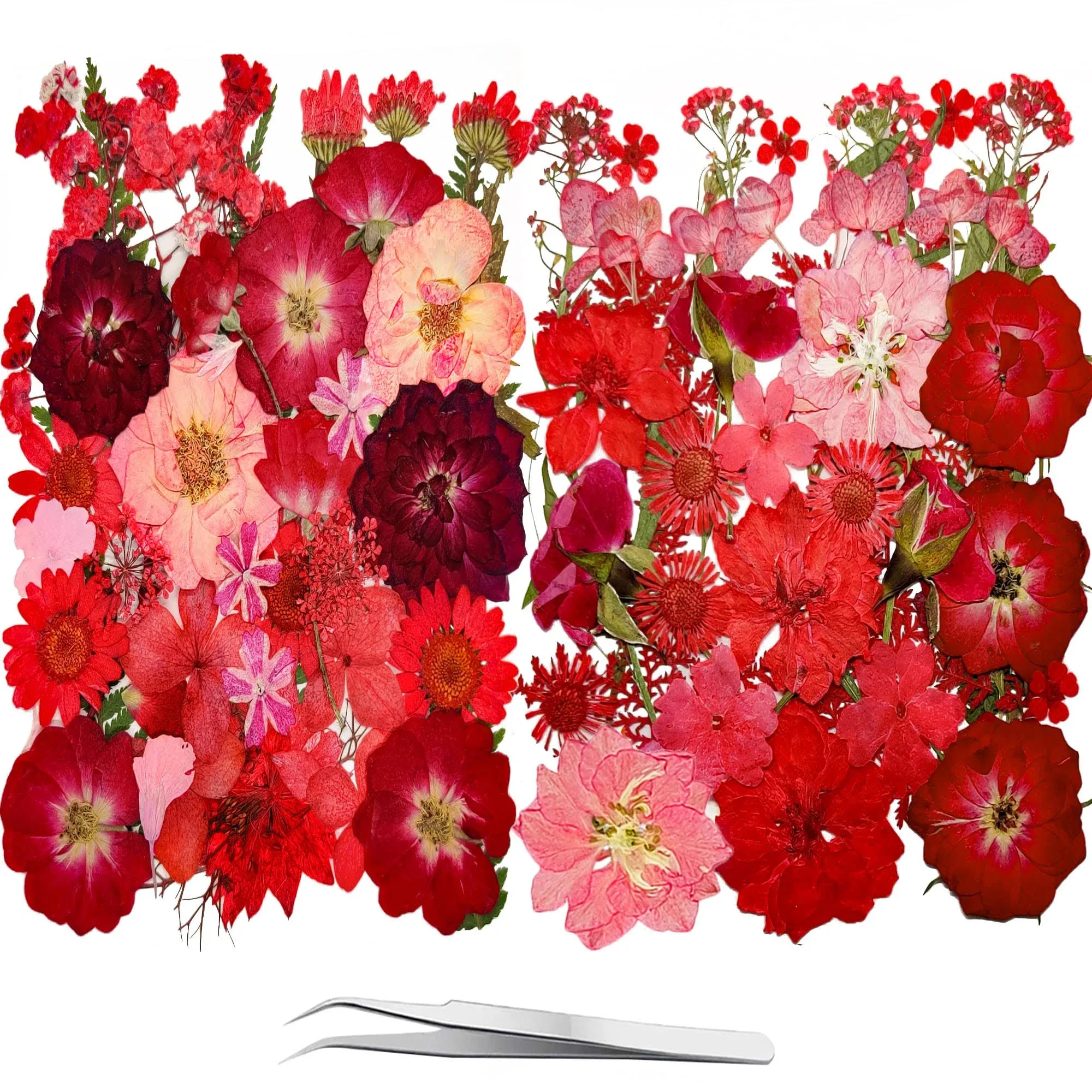 25 Types 133pcs Red Dried Pressed Flowers with Butterfly Stickers - YouthBro Real ...