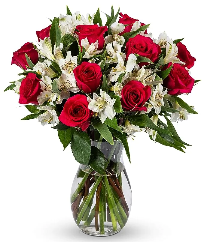 Benchmark Bouquets, Signature Roses & Alstroemeria, Glass Vase Included, Gift Fresh Flowers for Christmas, Holiday, Birthday, Anniversary, Sympathy, Congratulations, Thank You