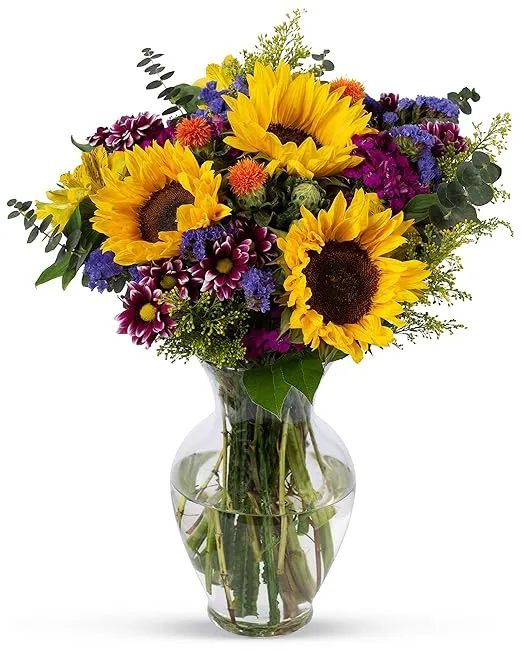 Benchmark Bouquets Flowering Fields, Prime Delivery, Vase Included, Grower Direct Fresh Cut Flowers, Gift for Home Décor, Birthday, Anniversary, Get Well, Sympathy, Friendship and Love.