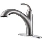 Ikebana Kitchen Faucet with Sprayer