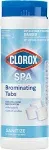 Clorox Spa 24-oz Spa Bromine