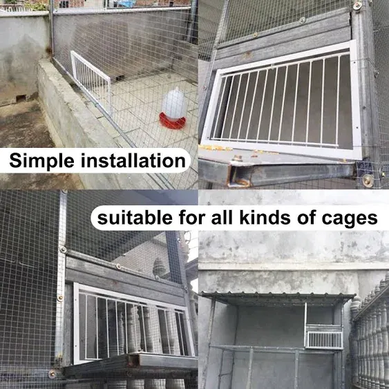 Pigeon Loft Door Pigeon Entrance Door Trap Door Pigeon House Door Racing Supplies Pet Bird Supply Product Bird cage Door (30cm/12in)