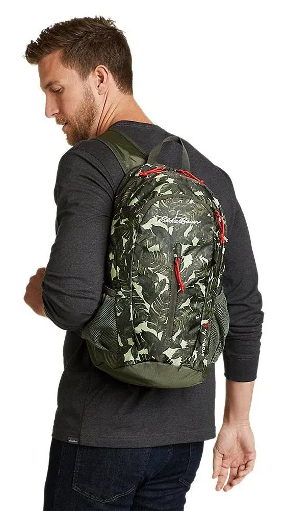 Eddie Bauer Stowaway Packable 20L Backpack