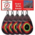 Bird B Gone - Reflective Eye Bird Diverters - Set of 5 - Perfect for Trees, Patios, Gazebos, Boats, Etc - Durable Outdoor Plastic - 360° Rotation