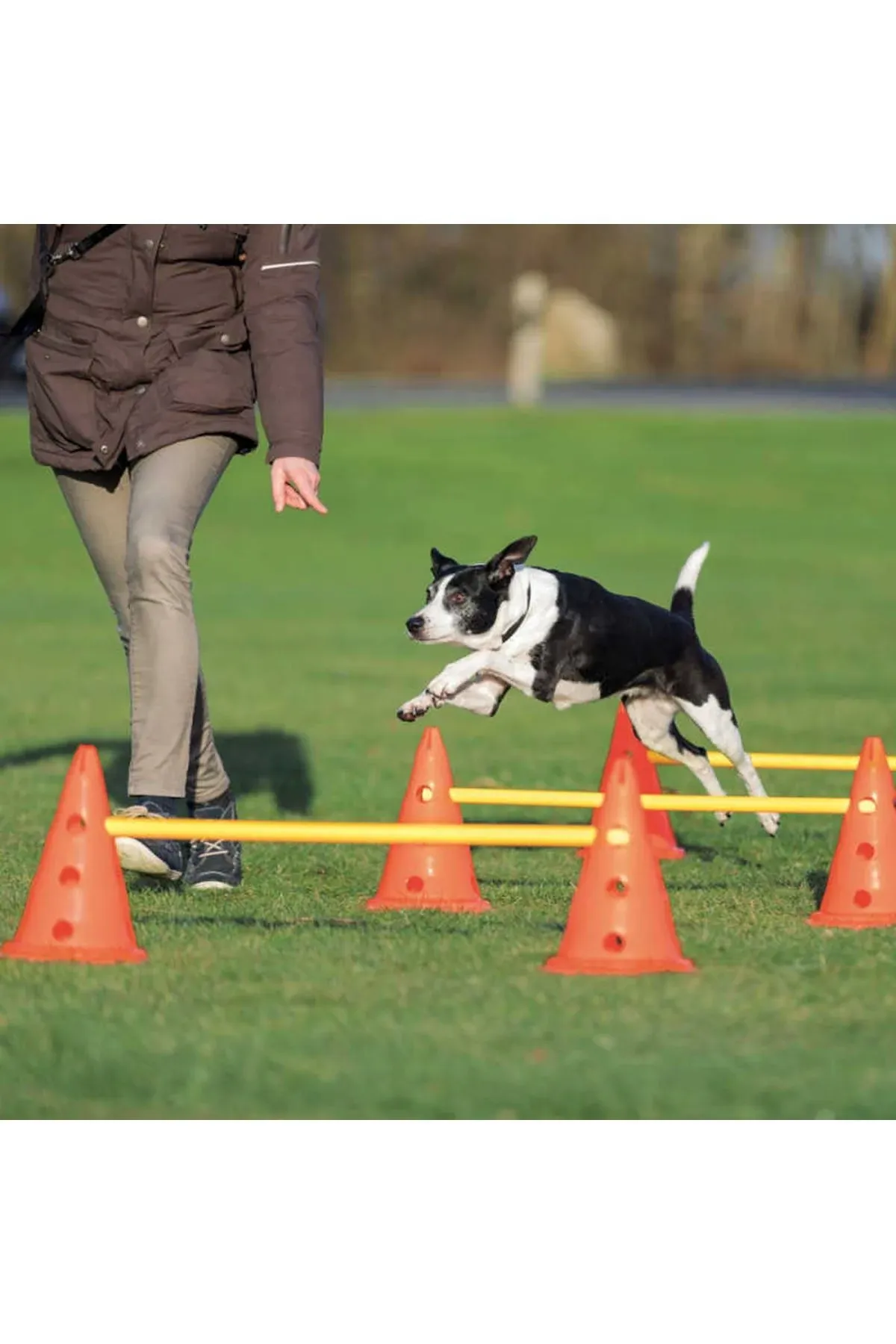 TRIXIE DOG Activity Obstacle Exercise &amp; Mobilizing Agility Hurdle Train - Unused