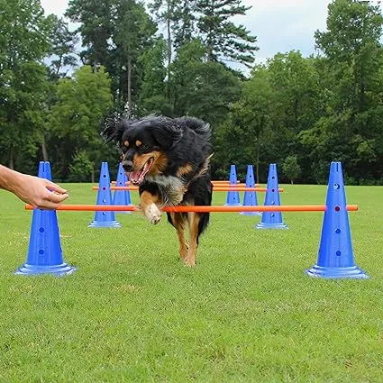 Lord Anson Trade; Dog Agility Hurdle Cone Set - Canine Agility Training Set ...