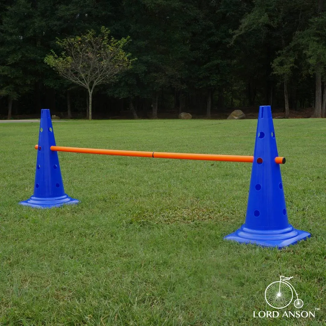 Dog Agility Hurdle Cone Set, 8 Cones &amp; 4 Rods, Adjustable Agility Set for Obedie