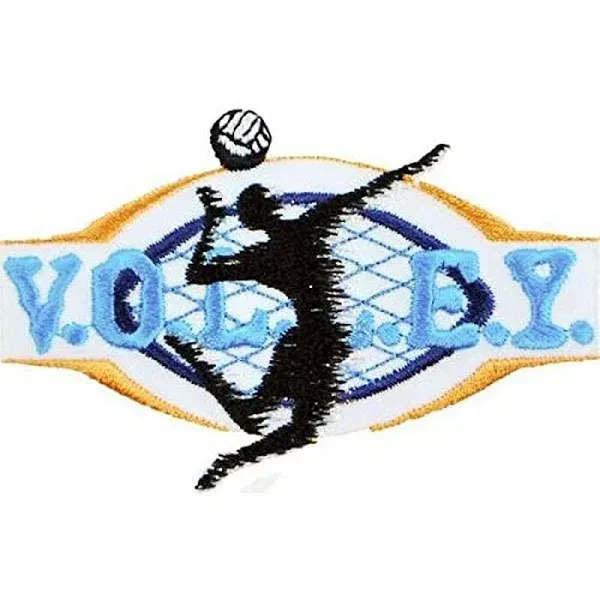 Expo Volleyball Sport Embroidered Iron-on Applique/Patch