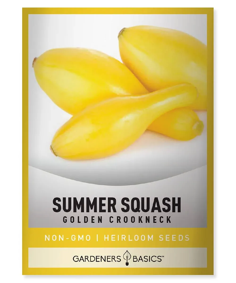 Golden Crookneck Summer Squash Seeds