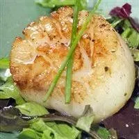 Today Gourmet Foods of NC - Scallops - U10 Dry (5lb Pkg)