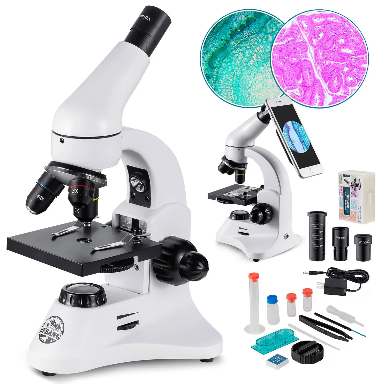 2000X Optical Microscope for Adults Students Kids Metal Body 2 WF EY