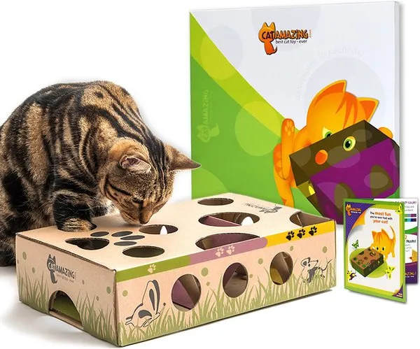 Cat Amazing - Best Cat Toy Ever! Interactive Treat Maze & Puzzle Feeder for Cats