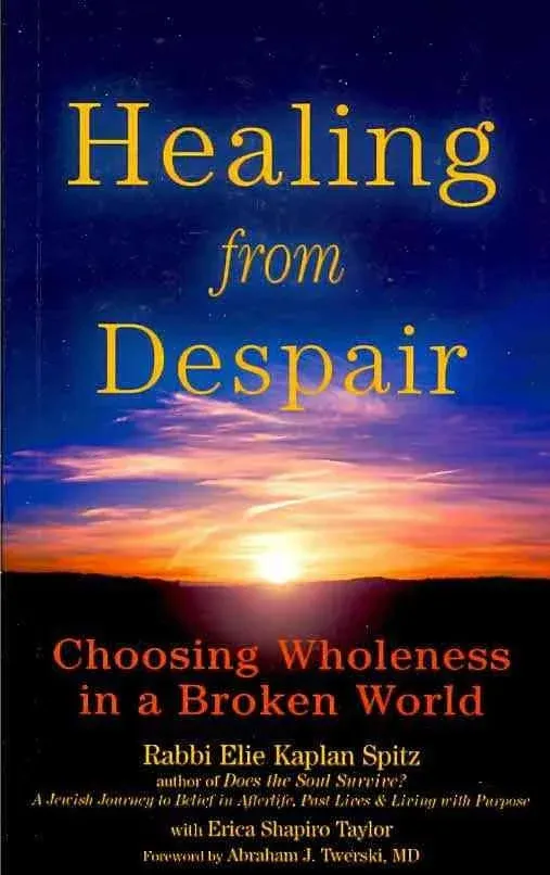 Healing from Despair By Rabbi Elie Kaplan Spitz with Erica Shapiro Taylor