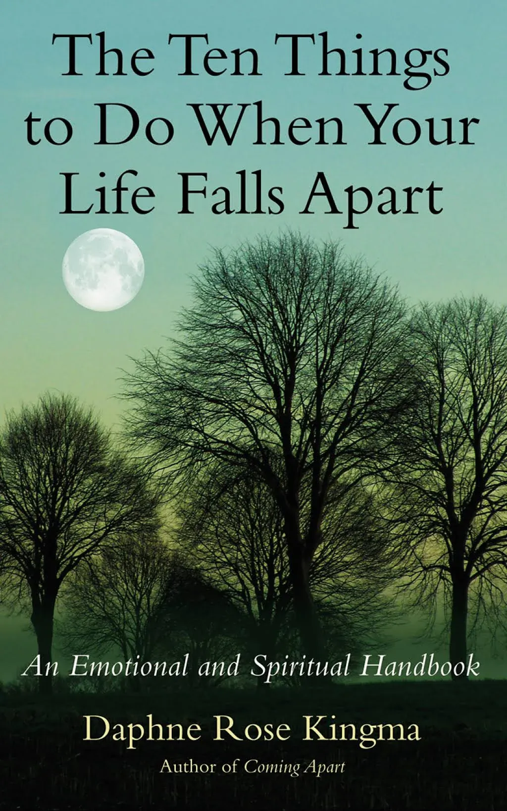 The Ten Things to Do when Your Life Falls Apart: An Emotional and Spiritual ...