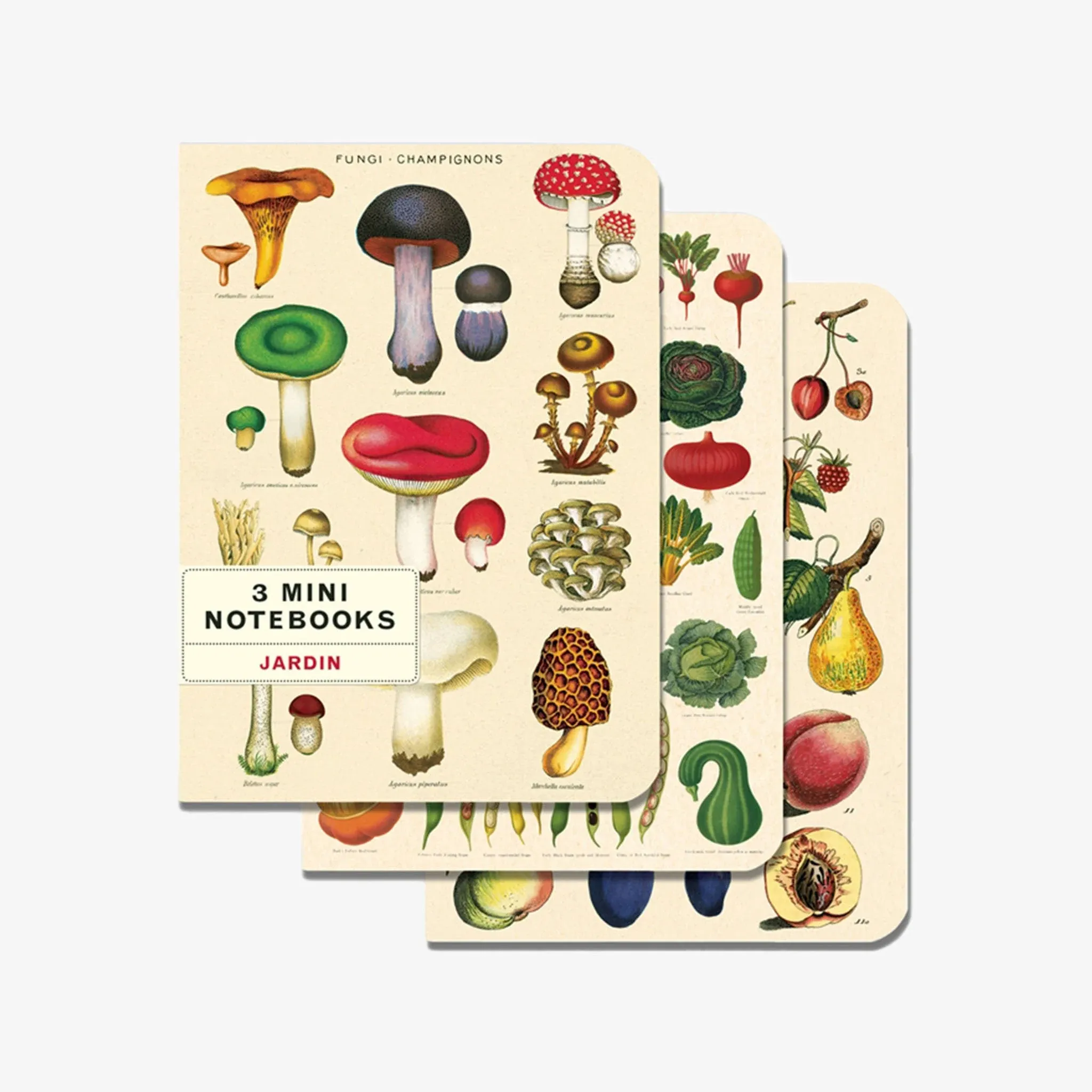 Cavallini & Co. Jardin Mini Notebooks