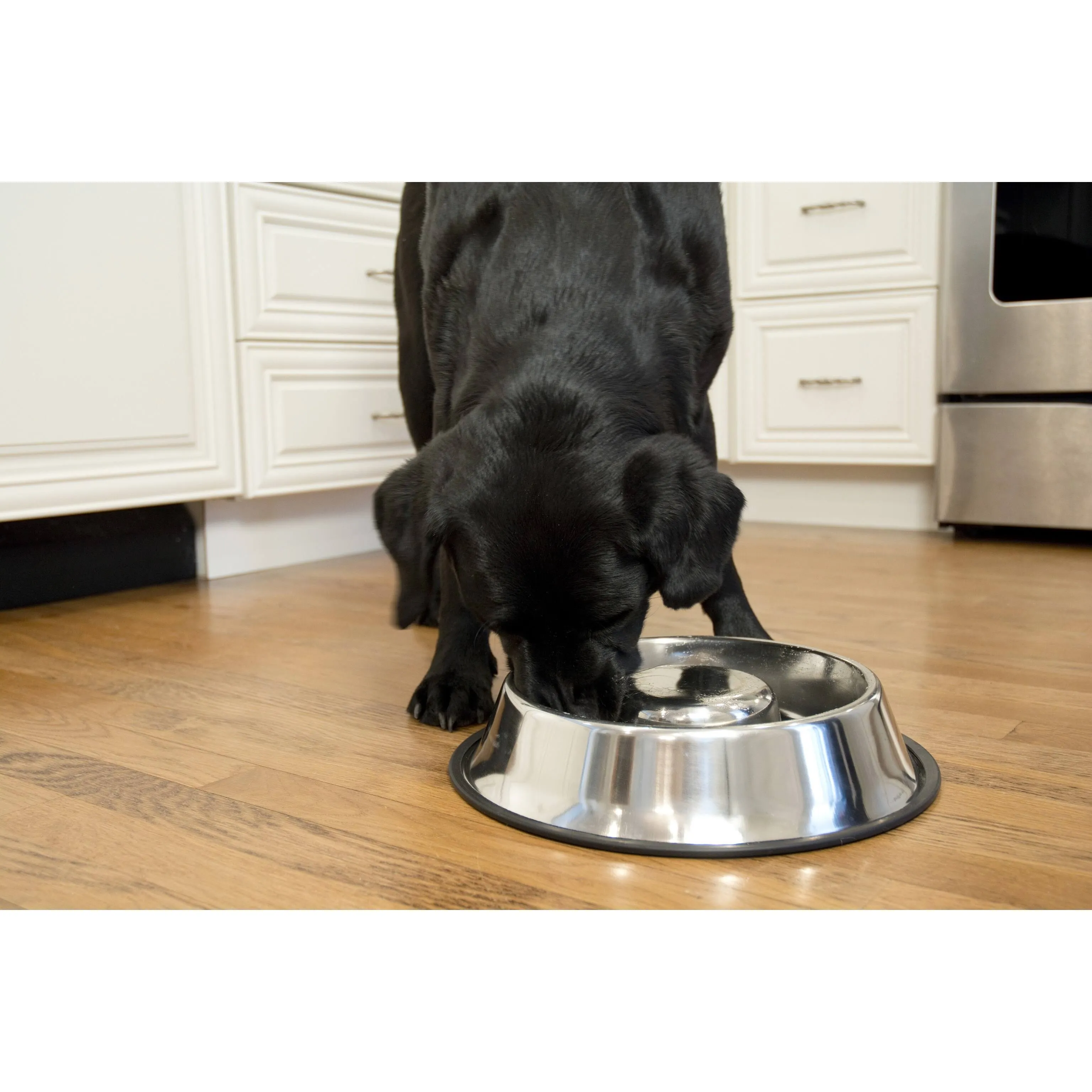 Iconic Pet Slow Feed Stainless Steel Pet Bowl