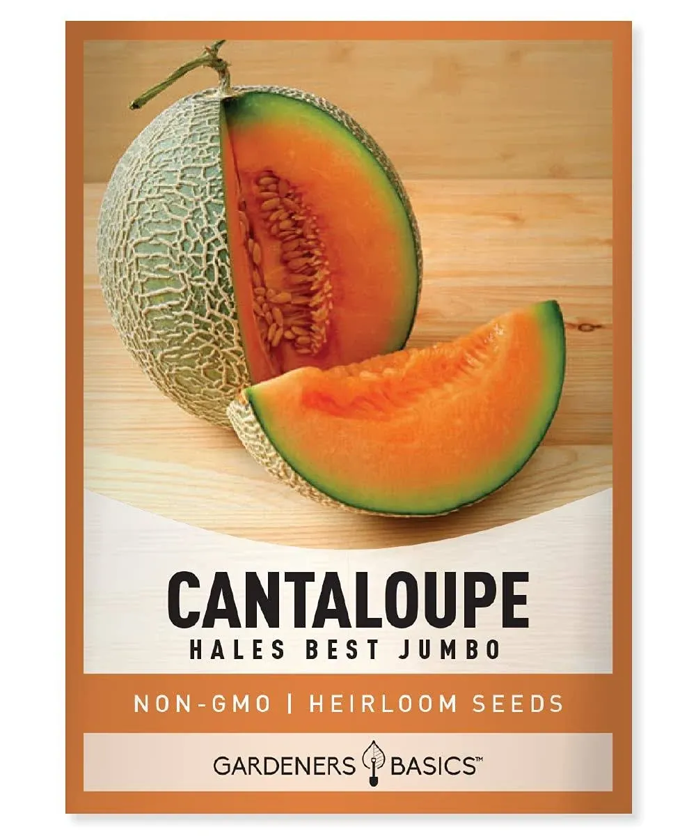 Hales Best Jumbo Cantaloupe Seeds