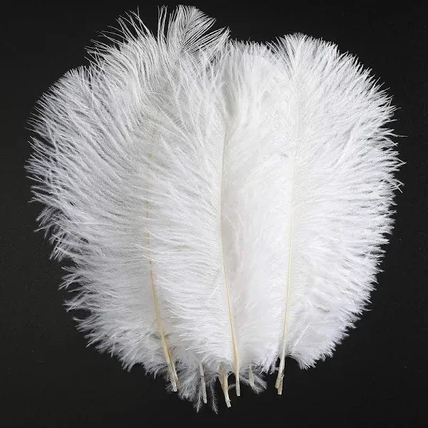 Ostrich Feathers Decoration Crafts Bulk - 20pcs Natural Plumas Decor for Home ...