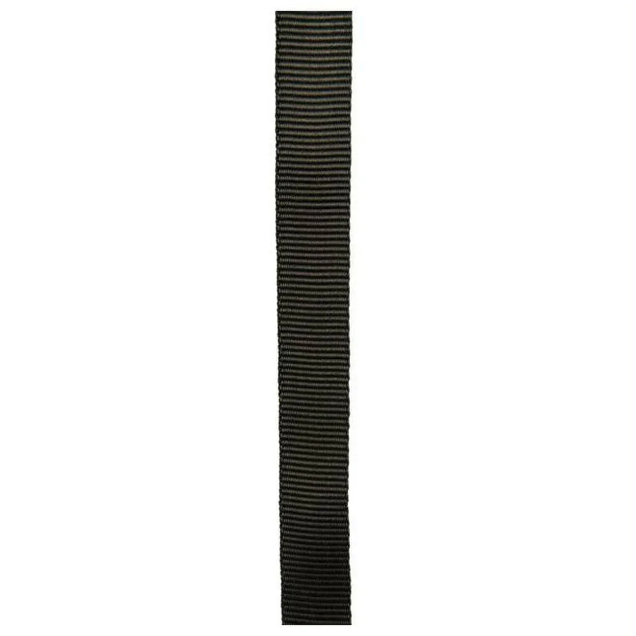 Cypher 1"X300' Tube Webbing - Olive