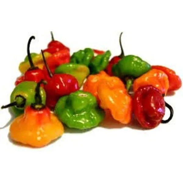 Tropical Importers Fresh Aji Cachucha Peppers (1 lb)