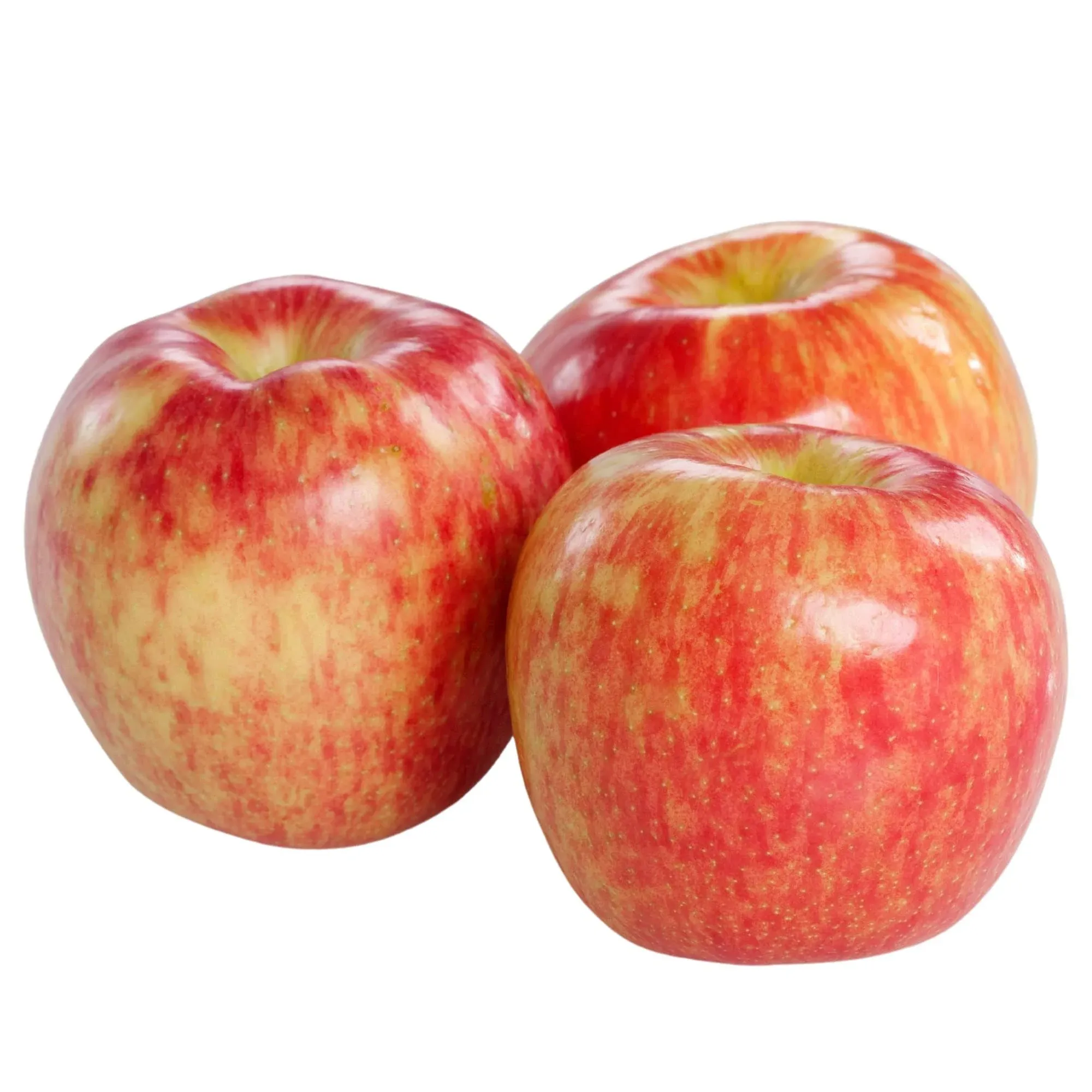 Fresh Honeycrisp Apple Pack - 16ct.