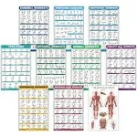 QuickFit 10 Pack - Exercise Workout Poster Set - Battle Rope, Dumbbell, Suspension, Kettlebell, Resistance Bands, Stretching, Bodyweight, Barbell, Yoga Poses, Exercise Ball (Paper, 18" x 27")