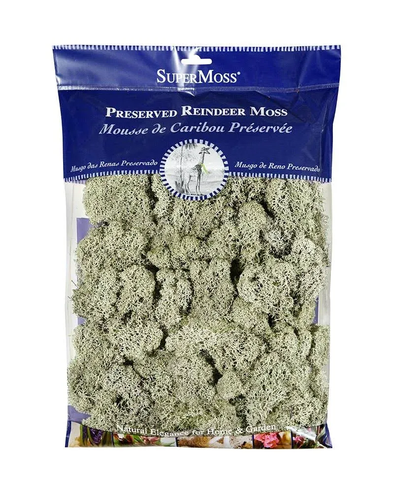 Super Moss 25140 Reindeer Moss Preserved, Green, 8oz (200 Cubic inch)