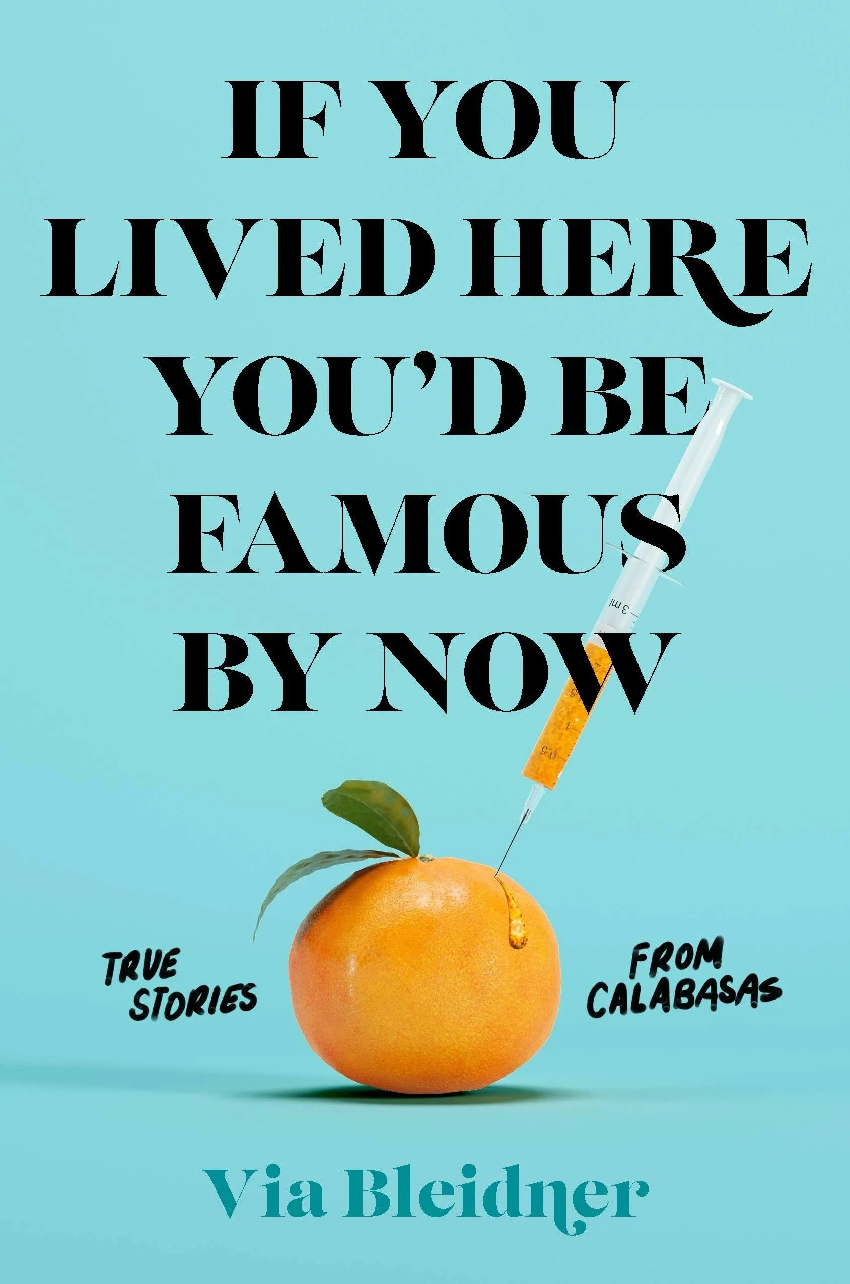 New If You Lived Here You&#039;d Be Famous by Now HARDCOVER 2021 by Via Bleidner