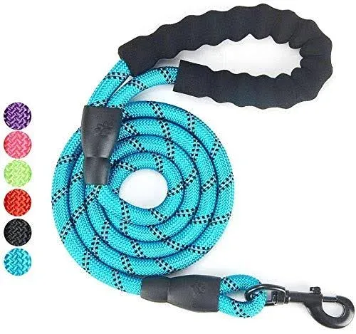 Fullgaden 5 ft Reflective Dog Leash, Heavy Duty with Comfortable Padded Handle, Blue