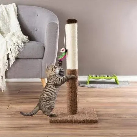 DaretoCare Cat Scratching Post - 24.5 in.