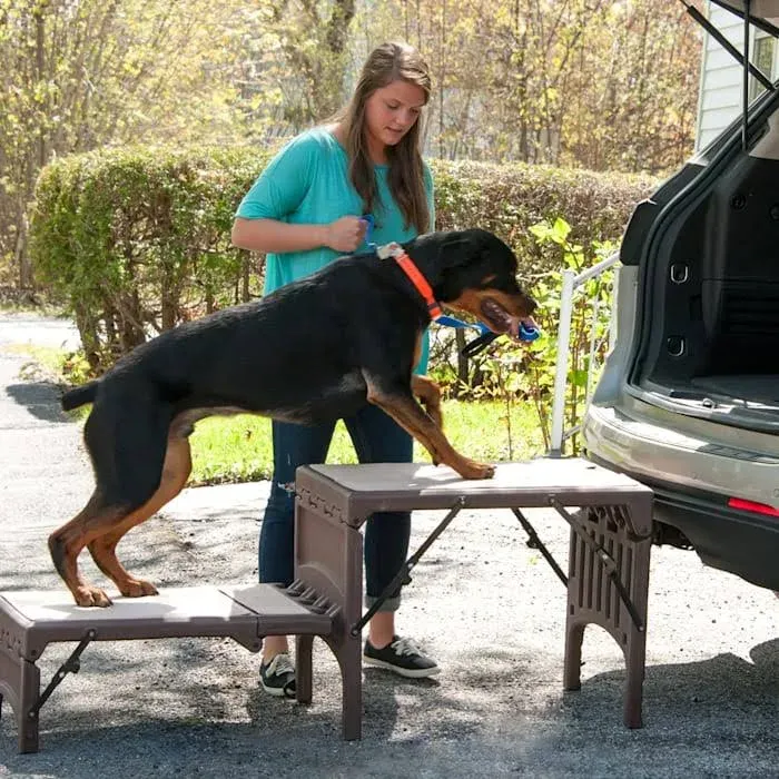 Pet Gear Free Standing Pet Ramp for Cats and Dogs, No Assembly Required, Easy Fold for Storage or Travel, Portable, Available in 6 Models