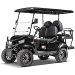 Kandi 4 Seat Electric Golf Cart- Matte Black | LOW4PAGM-MB